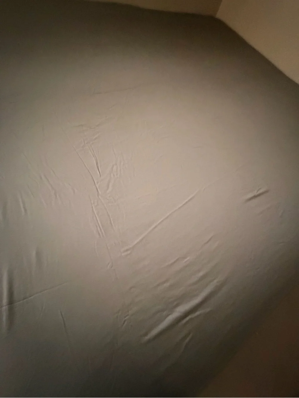 Bamboo Flat Sheet
